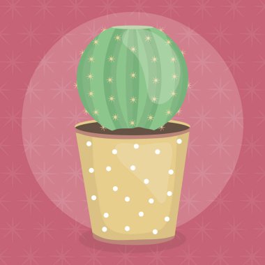 Seramik pot egzotik kaktüs bitki