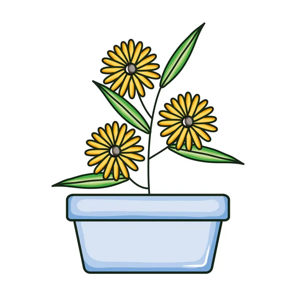 Beautiful sunflowers garden in square ceramic pot — Vector de stock