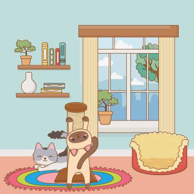 Kediler karikatür tasarım vector Illustrator