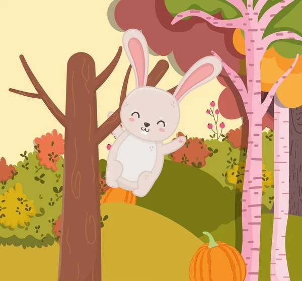 cute rabbit hanging from the tree hello autumn