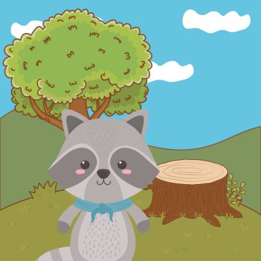Rakun karikatür tasarım vector Illustrator