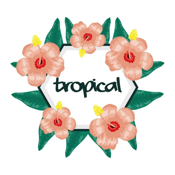 Marco circular con flores y hojas tropicales — Vector de stock