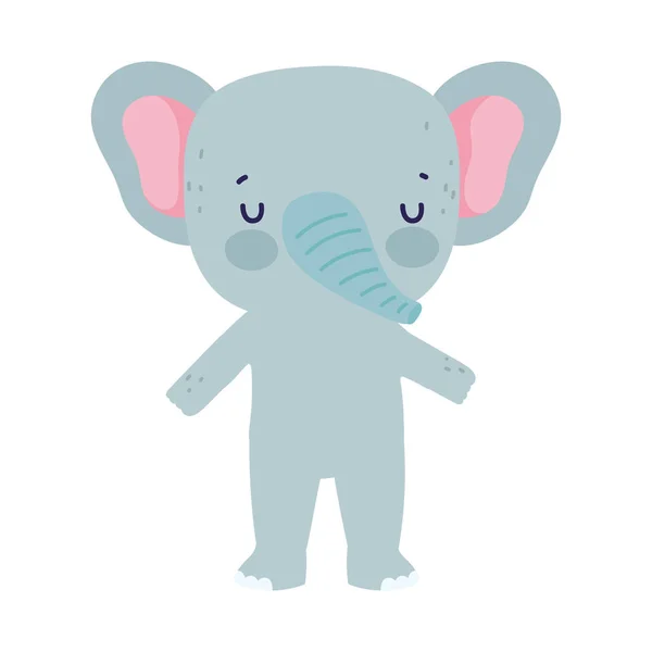 Cute elephant animal wildlife cartoon — Vetor de Stock