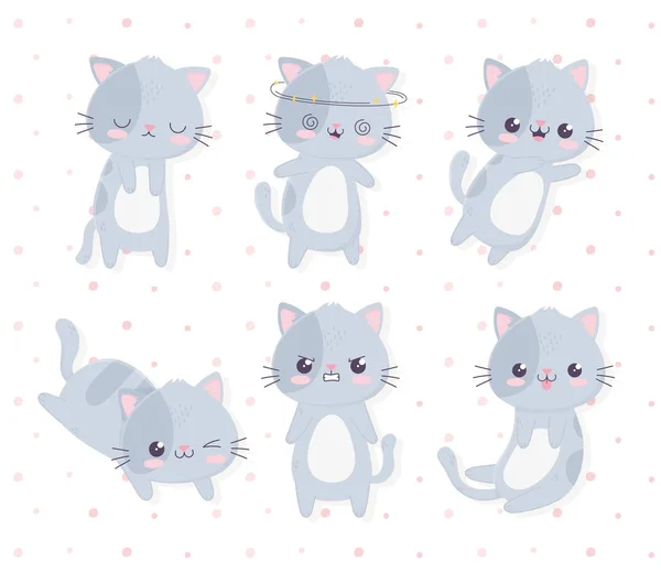 Kawaii cartoon different expressions cute cats — Vetor de Stock