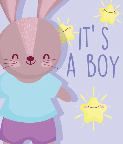 Menino ou menina, gênero revelar seu um menino bonito coelho estrelas cartão dos desenhos animados —  Vetores de Stock