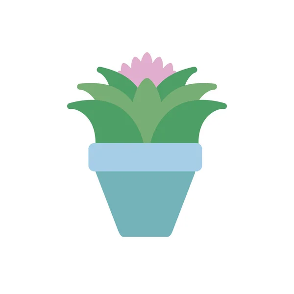Succulent flower in pot plants flat icon — Stock Vector