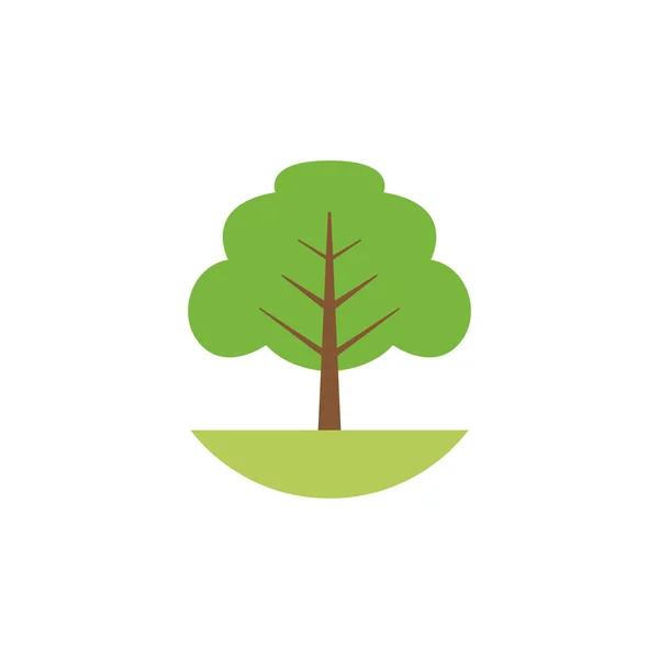 Árvore frondosa estilo plano natural — Vetor de Stock