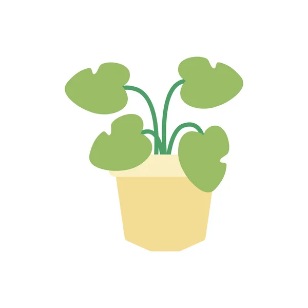 Hojas en forma de corazón en plantas de pote plano — Vector de stock