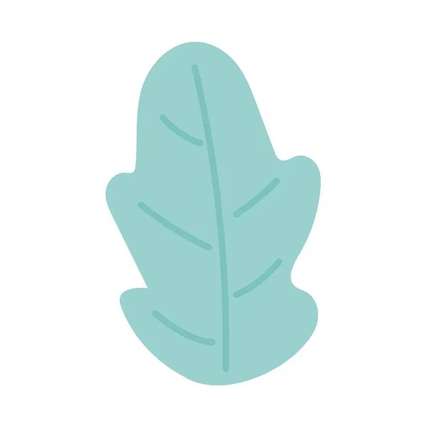 Green leaf foliage nature decoration icon — Vetor de Stock