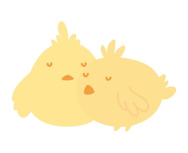 cute little chickens bird animal icon