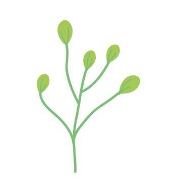 green branch leaves foliage decoration nature