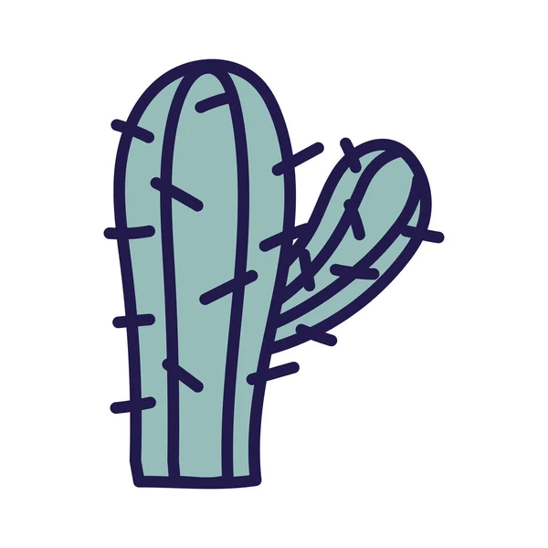 Cactus plant botanical icon white background — стоковый вектор
