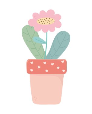 potted flower interior decoration ornament