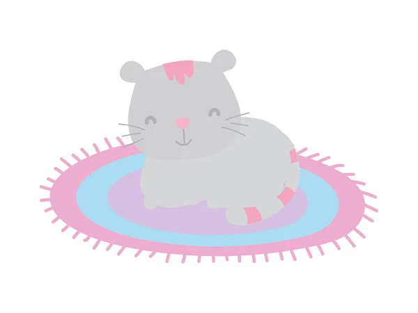 Cute cat sitting on round carpet cartoon — Image vectorielle