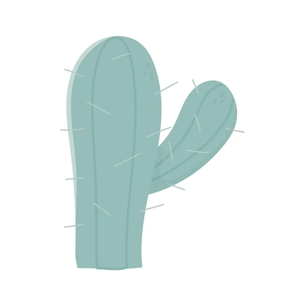 Cactus plant botanical icon white background — 图库矢量图片