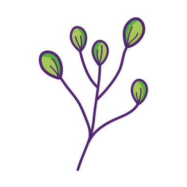 green branch leaves foliage decoration nature