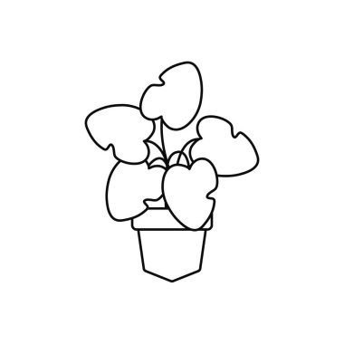 kalp şeklinde yapraklar ot bitkilerinde düz