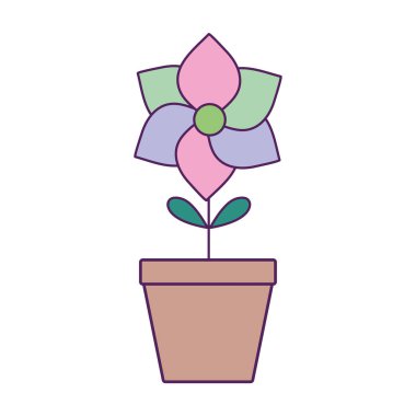 saksı çiçeği dolum çizgisi