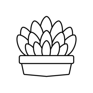 Saksıda sulu bitkiler için çizgi simgesi
