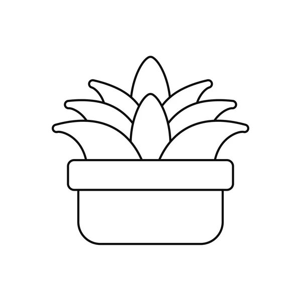 Горшечные суккулентные растения — стоковый вектор