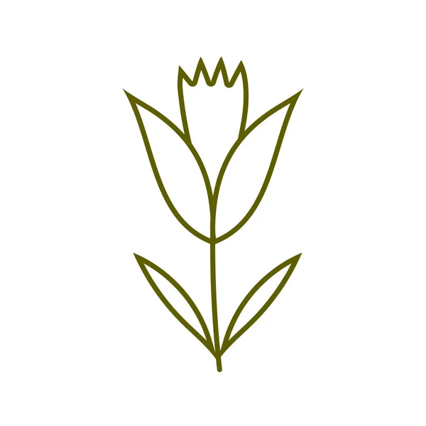 Planta vegetal flúcida de tipo vegetal — Vector de stock