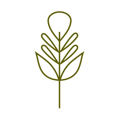 dal bitkisi çizgisi biçimi