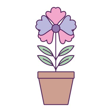 saksı çiçeği dolum çizgisi