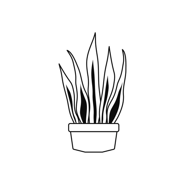 Icono de la línea de plantas de sanseviaria en cerámica — Archivo Imágenes Vectoriales