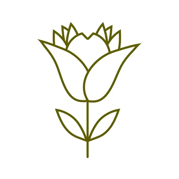 Flor caule natureza planta linha estilo — Vetor de Stock