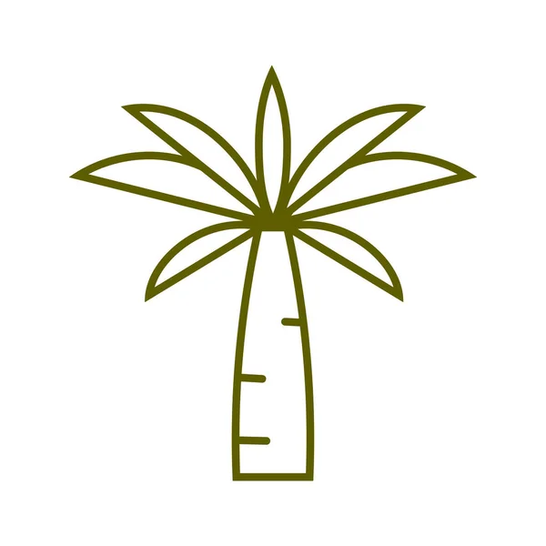 Tropical tree palm nature plant line style — Stock vektor