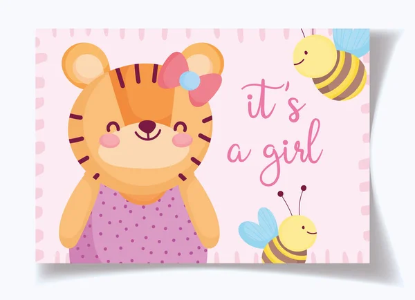 Boy or girl, gender reveal its a girl cute tiger and bees card — Stock vektor