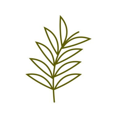 dal bitkisi çizgisi biçimi