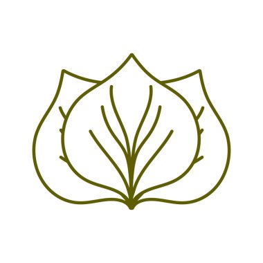 leaves nature plant line style