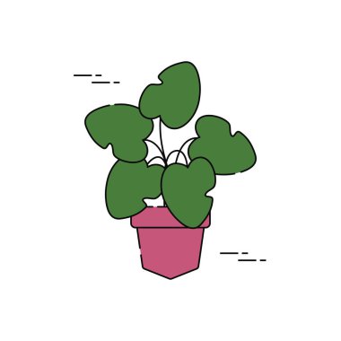 kalp şeklinde yapraklar ot bitkilerinde düz