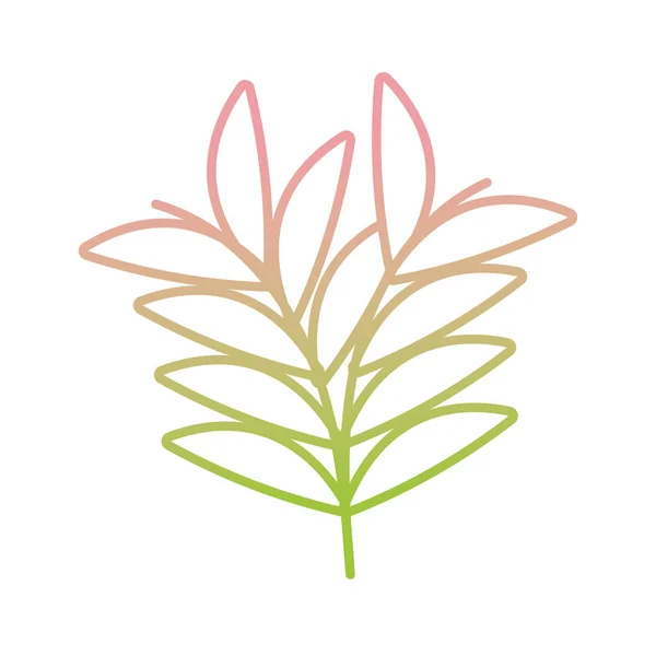 Ramo folhas folhagem planta gradiente — Vetor de Stock
