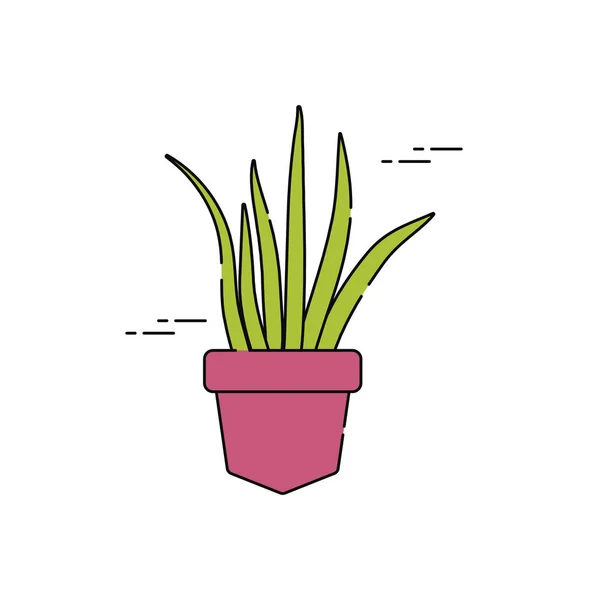 Aloe vera en plantas de pote relleno plano — Vector de stock