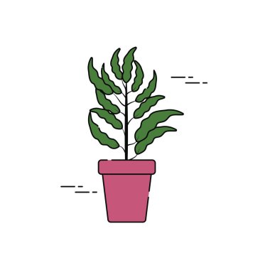 Saksı dalları bitkileri düz doldurur