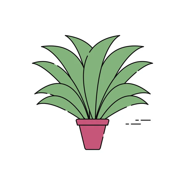 Горшечные сочные растения — стоковый вектор