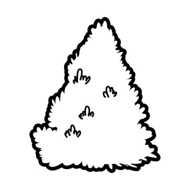 green bush foliage leaves nature botanical