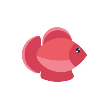 Deniz yaşamı, tatlı balık çizgi filmindeki deniz hayvanı.