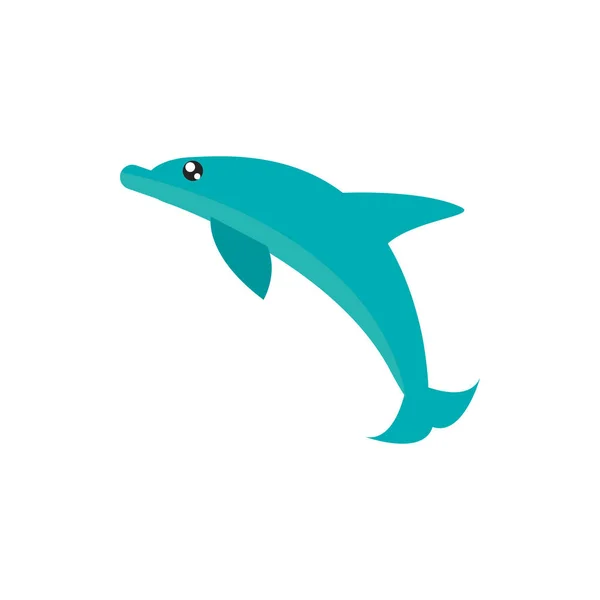 Golfinho marinho animal cartoon ícone no fundo branco — Vetor de Stock