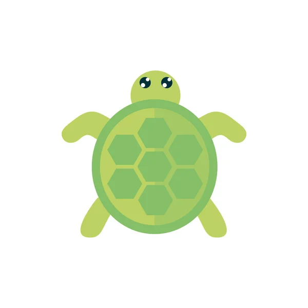 Tengeri élet, aranyos teknős rajzfilm tengeri állatvilág állat — Stock Vector