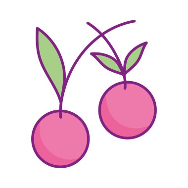 tatlı kiraz meyveleri taze ikon