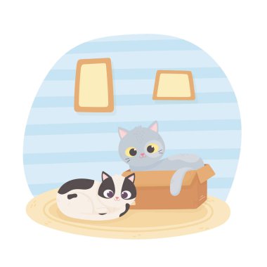 pet cats with cardboard box room cartoon