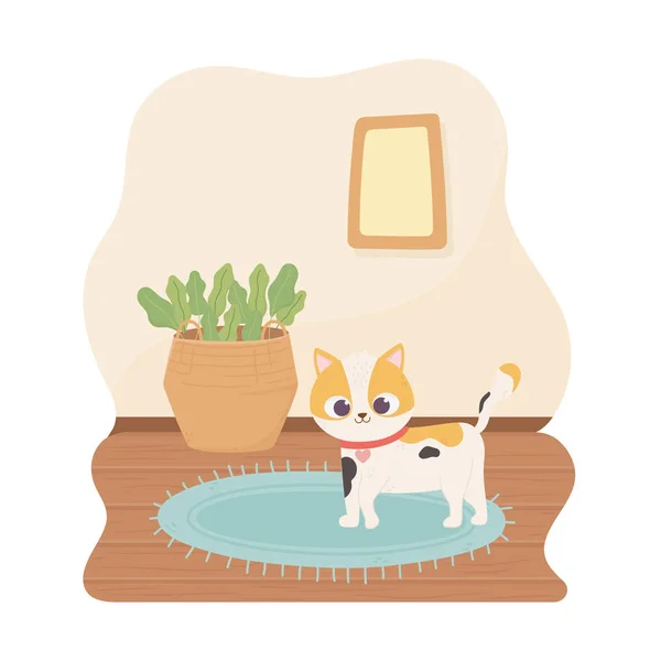 Huiskat staan in de kamer met mand planten frame cartoon — Stockvector