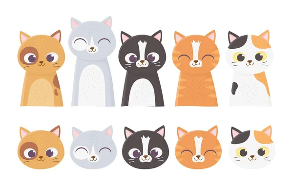 Chat de compagnie face à différents félins race dessin animé — Image vectorielle