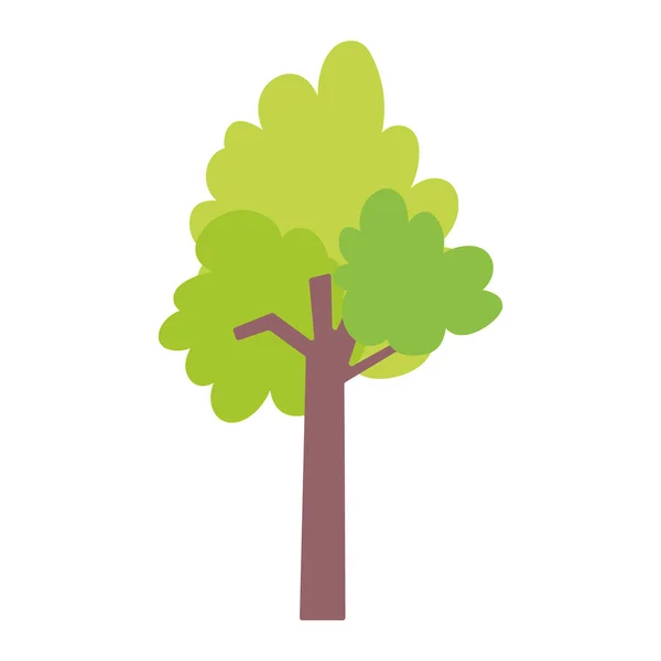 Vegetación árbol follaje naturaleza ecología icono — Vector de stock