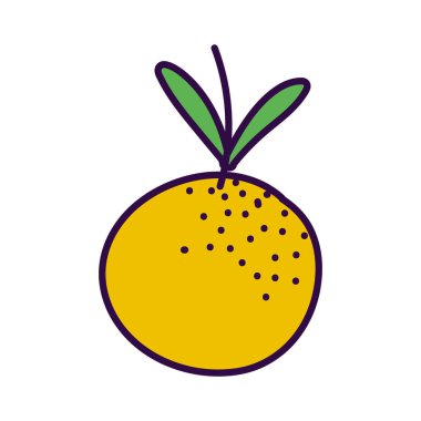 tropical fresh fruit orange icon design