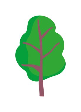yeşillik ağaç yaprağı doğa ekoloji ikonu