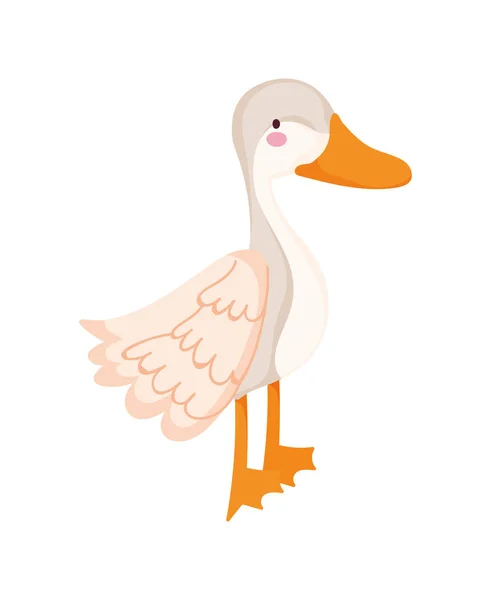 Goose bird poultry farm cartoon animal — Stock Vector